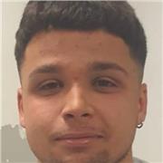 Profesor con dos años de experiencia en guitarra y tablaturas.